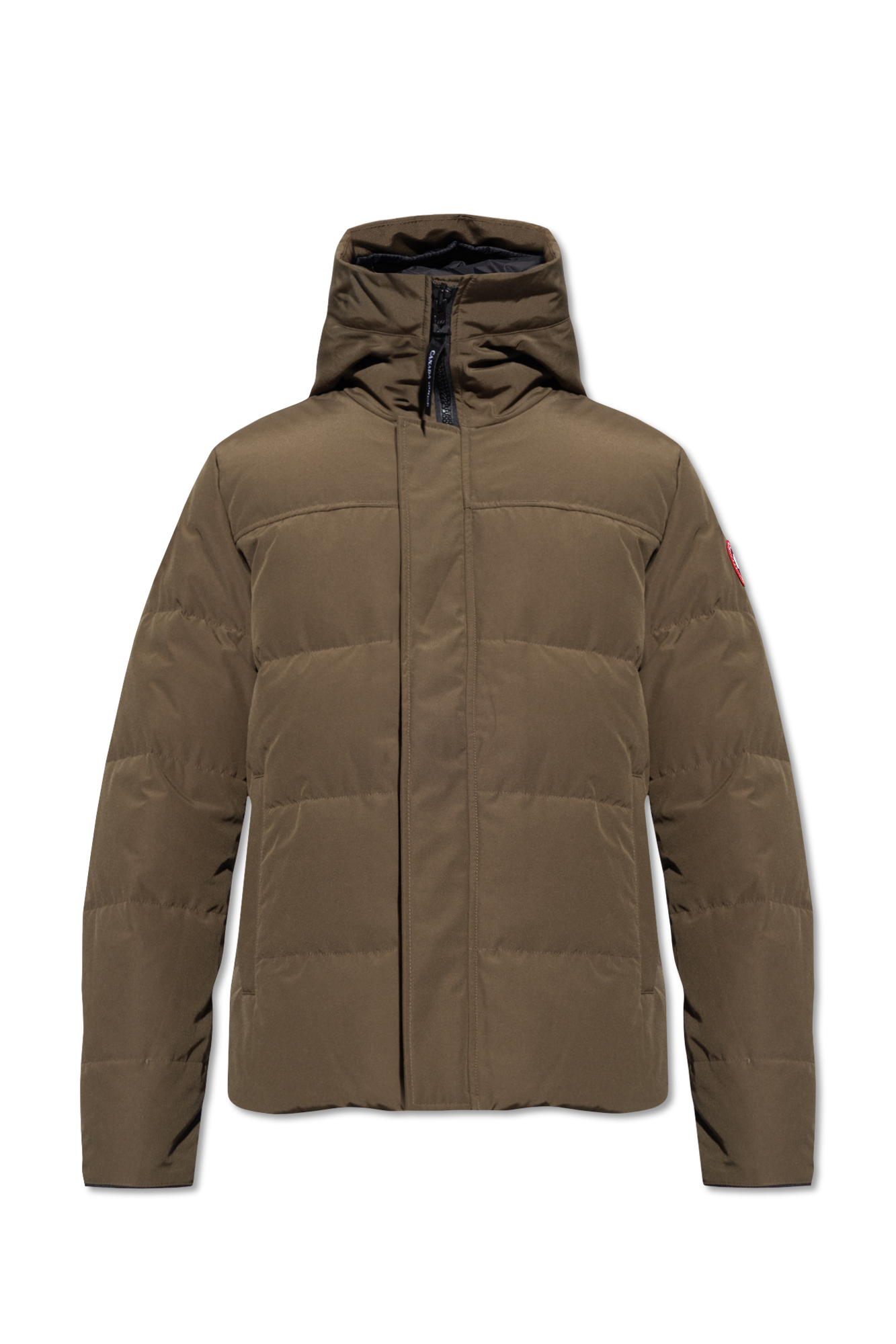 Canada goose discount olive green